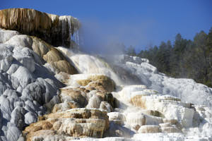 USA Yellowstone<br>NIKON D4, 145 mm, 110 ISO,  1/500 sec,  f : 8 